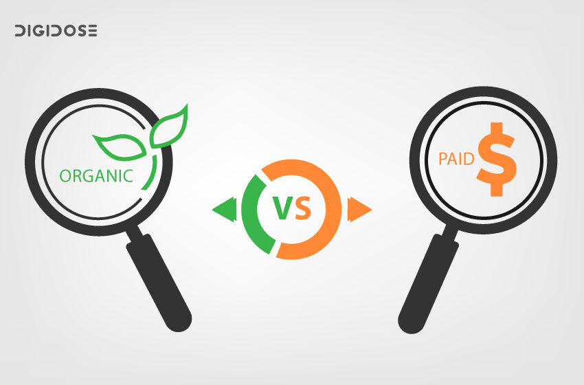 أنواع البحث في محركات البحث Organic & Paid والفرق بينهم